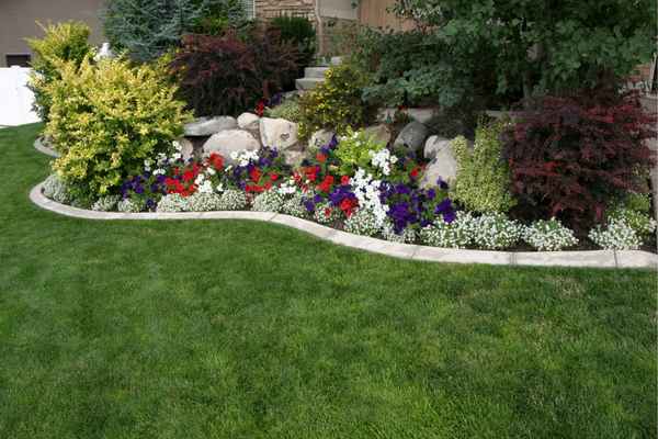 Landscaping in maricopa and pinal counties