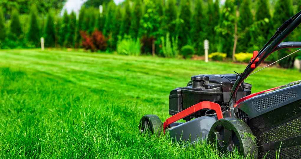 mowing services in maricopa and pinal counties